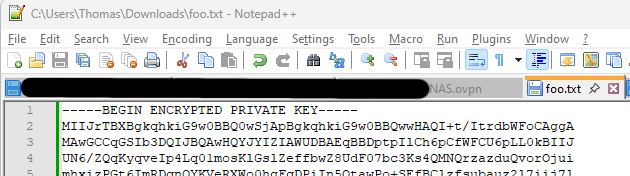 Datei im Notepad++