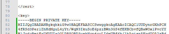 Datei im Notepad++